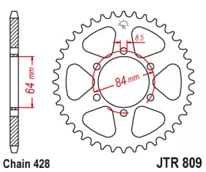 Rozeta J.T.0809-428-47