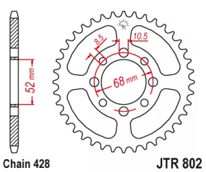 Rozeta J.T.0802-428-43