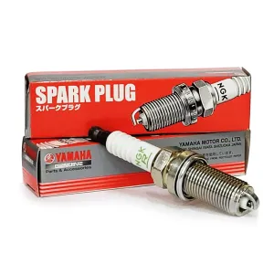 PLUG, SPARK (NGK LFR6A)
